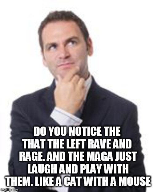 Thinking man | DO YOU NOTICE THE THAT THE LEFT RAVE AND  RAGE. AND THE MAGA JUST LAUGH AND PLAY WITH THEM. LIKE A CAT WITH A MOUSE | image tagged in thinking man | made w/ Imgflip meme maker