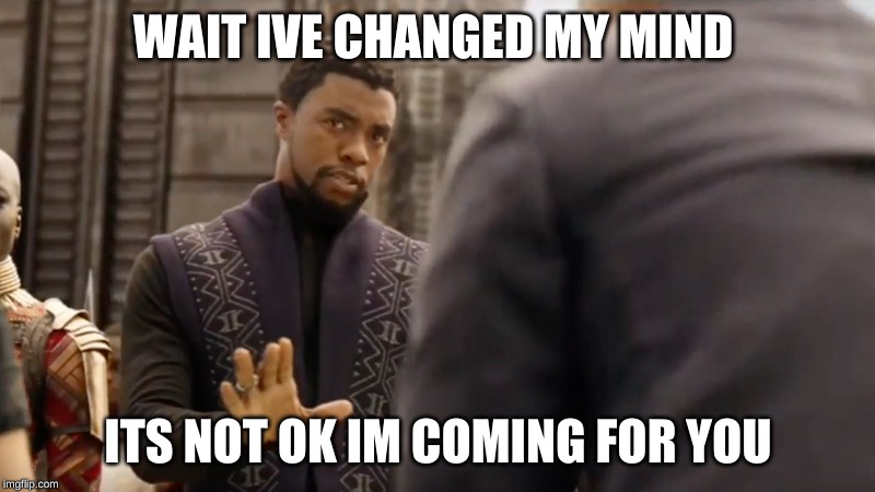 black panther | WAIT IVE CHANGED MY MIND ITS NOT OK IM COMING FOR YOU | image tagged in black panther | made w/ Imgflip meme maker