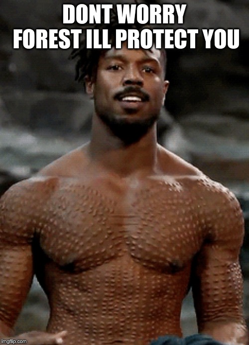 Black Panther Memes | DONT WORRY FOREST ILL PROTECT YOU | image tagged in black panther memes | made w/ Imgflip meme maker