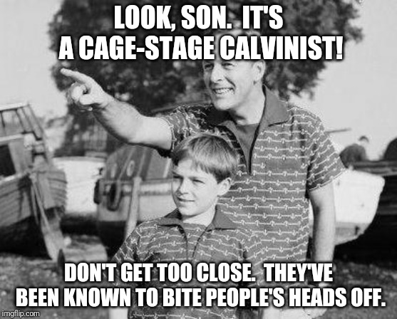 Look Son Meme | LOOK, SON.  IT'S A CAGE-STAGE CALVINIST! DON'T GET TOO CLOSE.  THEY'VE BEEN KNOWN TO BITE PEOPLE'S HEADS OFF. | image tagged in memes,look son | made w/ Imgflip meme maker