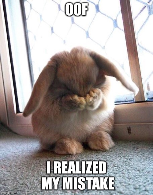 embarrassed bunny | OOF I REALIZED MY MISTAKE | image tagged in embarrassed bunny | made w/ Imgflip meme maker