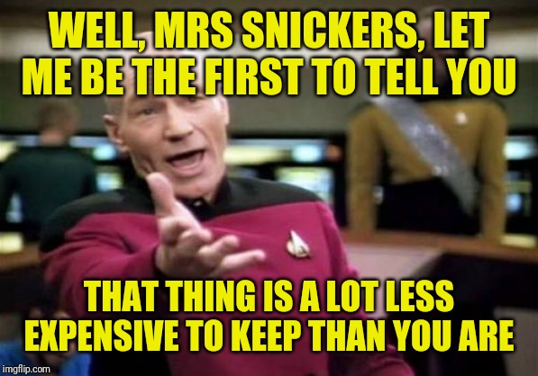 Picard Wtf Meme | WELL, MRS SNICKERS, LET ME BE THE FIRST TO TELL YOU THAT THING IS A LOT LESS EXPENSIVE TO KEEP THAN YOU ARE | image tagged in memes,picard wtf | made w/ Imgflip meme maker