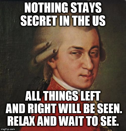 Mozart Not Sure | NOTHING STAYS SECRET IN THE US; ALL THINGS LEFT AND RIGHT WILL BE SEEN. RELAX AND WAIT TO SEE. | image tagged in memes,mozart not sure | made w/ Imgflip meme maker