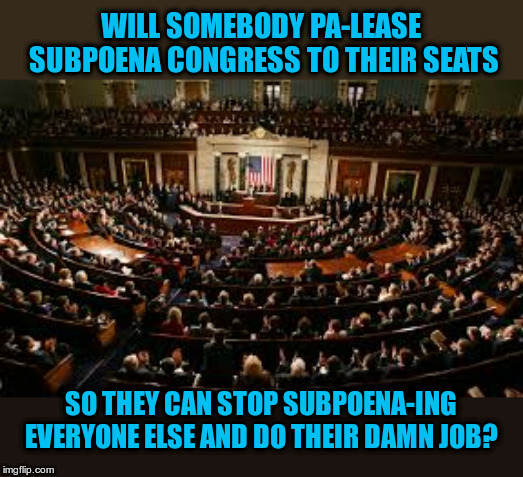 ENOUGH Committees and Congressional Oversight | WILL SOMEBODY PA-LEASE SUBPOENA CONGRESS TO THEIR SEATS; SO THEY CAN STOP SUBPOENA-ING EVERYONE ELSE AND DO THEIR DAMN JOB? | image tagged in congress,peons | made w/ Imgflip meme maker