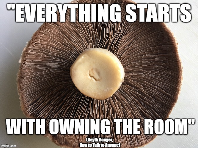 Room | "EVERYTHING STARTS; WITH OWNING THE ROOM"; (Deyth Banger, How to Talk to Anyone) | image tagged in everything,start,starts,own,owning,room | made w/ Imgflip meme maker