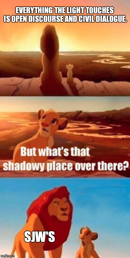 Simba Shadowy Place | EVERYTHING THE LIGHT TOUCHES IS OPEN DISCOURSE AND CIVIL DIALOGUE. SJW'S | image tagged in memes,simba shadowy place | made w/ Imgflip meme maker