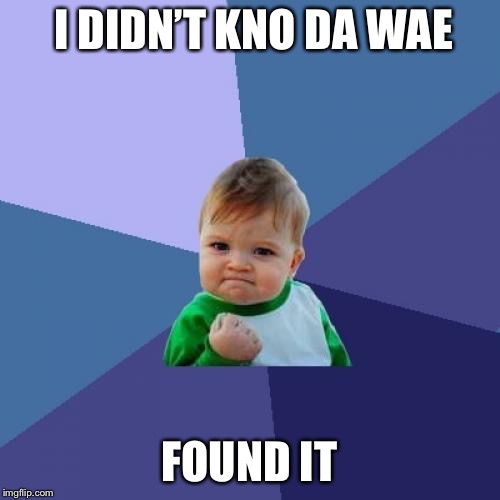 Success Kid Meme | I DIDN’T KNO DA WAE; FOUND IT | image tagged in memes,success kid | made w/ Imgflip meme maker