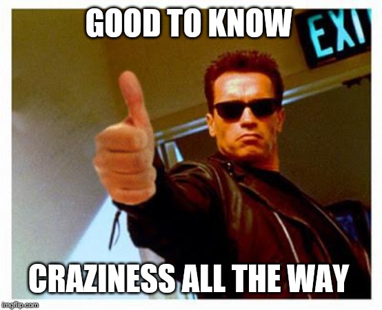 terminator thumbs up | GOOD TO KNOW CRAZINESS ALL THE WAY | image tagged in terminator thumbs up | made w/ Imgflip meme maker