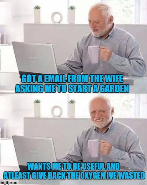 Hide the Pain Harold Meme | GOT A EMAIL FROM THE WIFE ASKING ME TO START A GARDEN; WANTS ME TO BE USEFUL AND ATLEAST GIVE BACK THE OXYGEN IVE WASTED | image tagged in memes,hide the pain harold | made w/ Imgflip meme maker