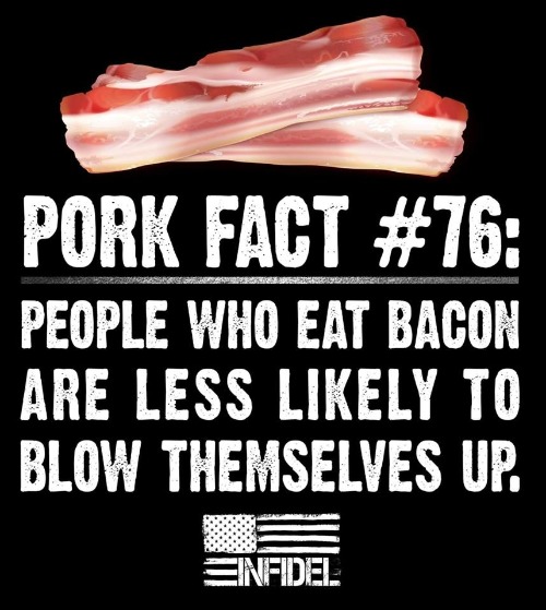 Pork Fact #76 | image tagged in bacon,i love bacon,eat more bacon,pork,tnt contains bacon,glycerin | made w/ Imgflip meme maker