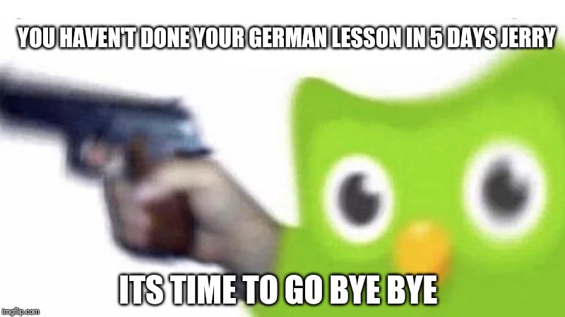 duolingo gun | YOU HAVEN'T DONE YOUR GERMAN LESSON IN 5 DAYS JERRY; ITS TIME TO GO BYE BYE | image tagged in duolingo gun | made w/ Imgflip meme maker