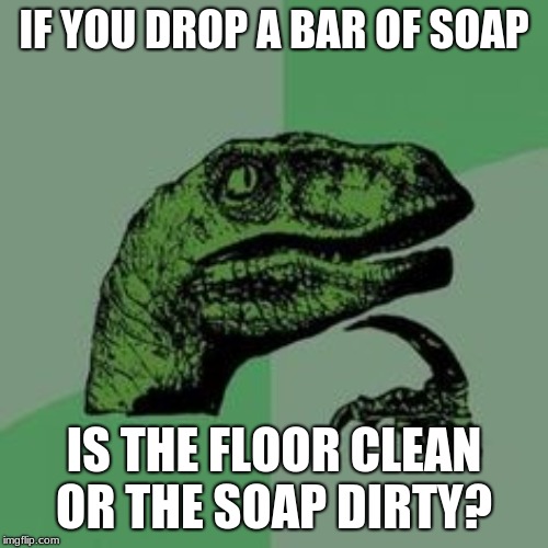 Time raptor  | IF YOU DROP A BAR OF SOAP; IS THE FLOOR CLEAN OR THE SOAP DIRTY? | image tagged in time raptor | made w/ Imgflip meme maker