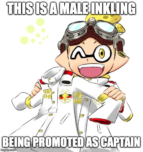 Inkling Captain | THIS IS A MALE INKLING; BEING PROMOTED AS CAPTAIN | image tagged in inkling,splatoon,memes,captain | made w/ Imgflip meme maker