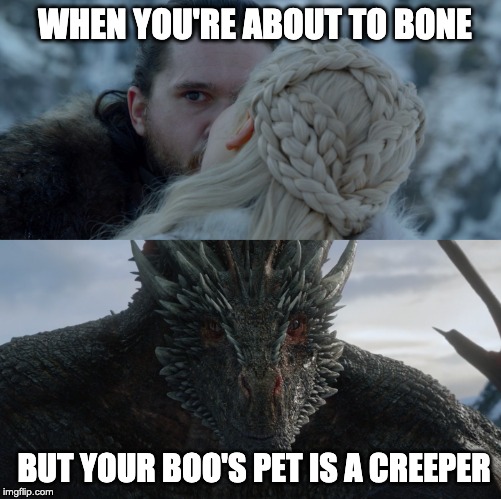Jonerys and the peeping dragon | WHEN YOU'RE ABOUT TO BONE; BUT YOUR BOO'S PET IS A CREEPER | image tagged in got,game of thrones,dragon,daenerys targaryen,jon snow,jonerys | made w/ Imgflip meme maker