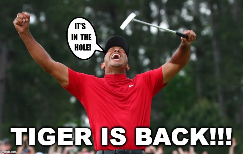 Tiger Is Back!!! | IT'S; IN  THE; HOLE! TIGER IS BACK!!! | image tagged in tiger woods | made w/ Imgflip meme maker