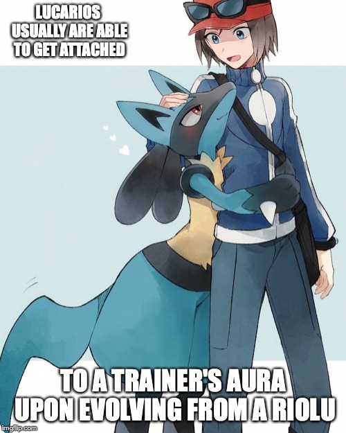 Calem With Lucario | LUCARIOS USUALLY ARE ABLE TO GET ATTACHED; TO A TRAINER'S AURA UPON EVOLVING FROM A RIOLU | image tagged in lucario,calem,pokemon x and y,pokemon,memes | made w/ Imgflip meme maker