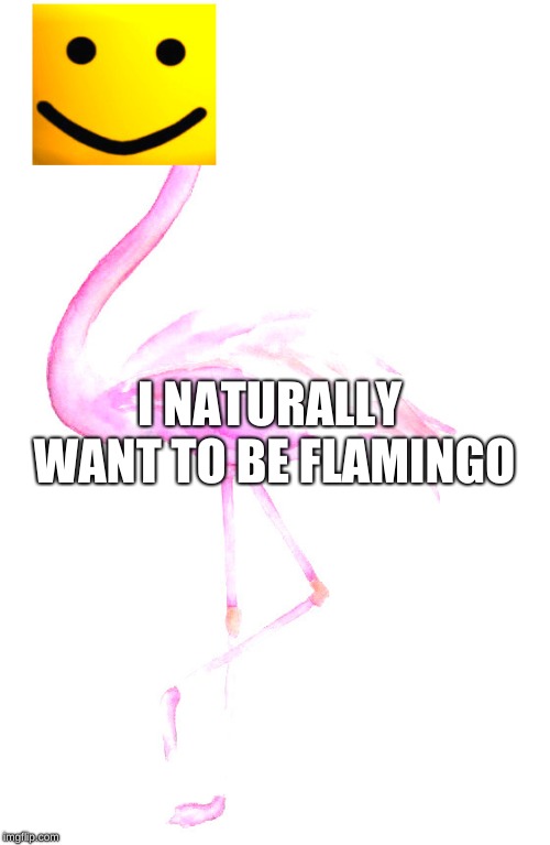 Image Tagged In Roblox Flamingo Flamingo Imgflip