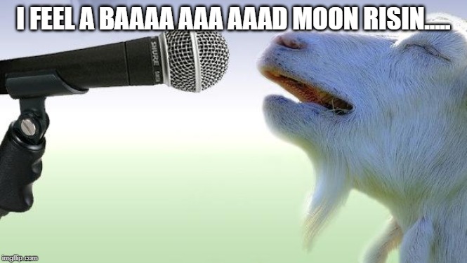 goat singing | I FEEL A BAAAA AAA AAAD MOON RISIN..... | image tagged in goat singing | made w/ Imgflip meme maker