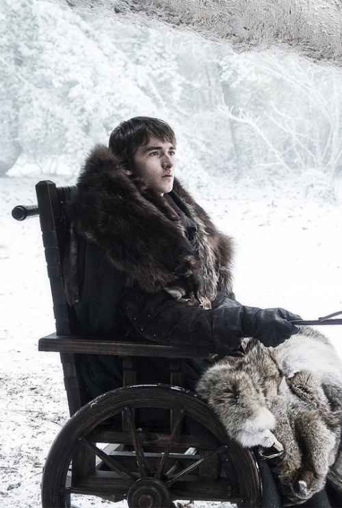 Bran stark Blank Meme Template