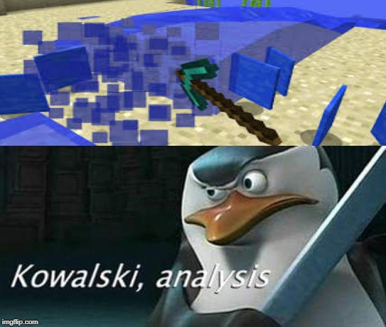WTF | image tagged in kowalski analysis | made w/ Imgflip meme maker