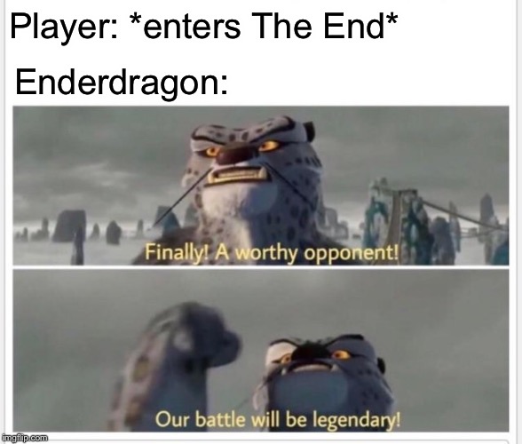 Player: *enters The End* Enderdragon: | image tagged in finally a worthy opponent | made w/ Imgflip meme maker