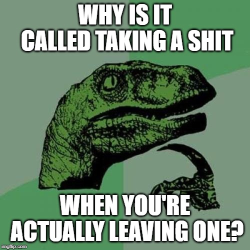 Imagine if it were to be taken literally | WHY IS IT CALLED TAKING A SHIT; WHEN YOU'RE ACTUALLY LEAVING ONE? | image tagged in memes,philosoraptor,shit | made w/ Imgflip meme maker