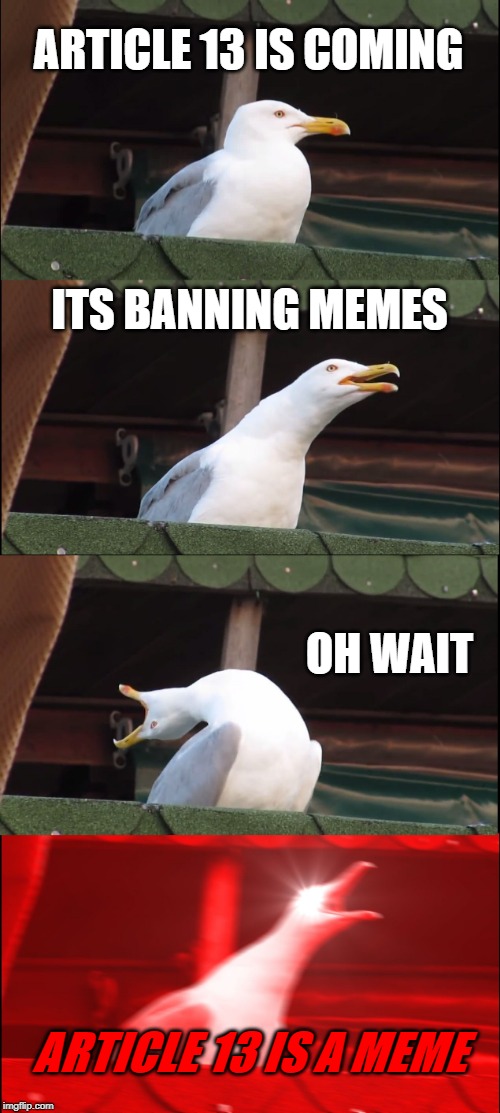 Inhaling Seagull | ARTICLE 13 IS COMING; ITS BANNING MEMES; OH WAIT; ARTICLE 13 IS A MEME | image tagged in memes,inhaling seagull | made w/ Imgflip meme maker