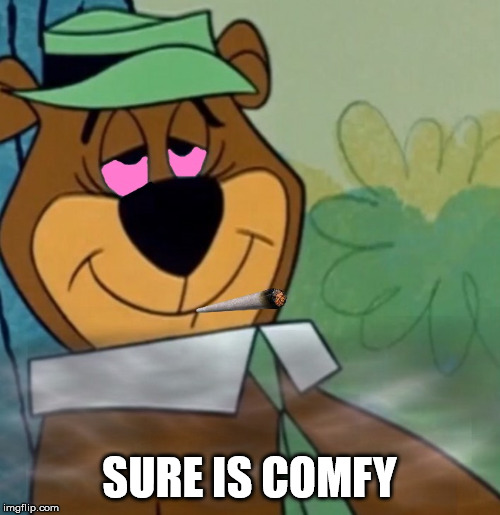yogi bear weed | SURE IS COMFY | image tagged in yogi bear weed | made w/ Imgflip meme maker