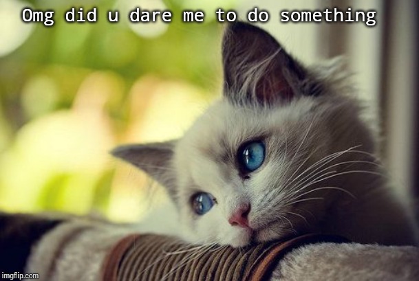First World Problems Cat Meme | Omg did u dare me to do something | image tagged in memes,first world problems cat | made w/ Imgflip meme maker