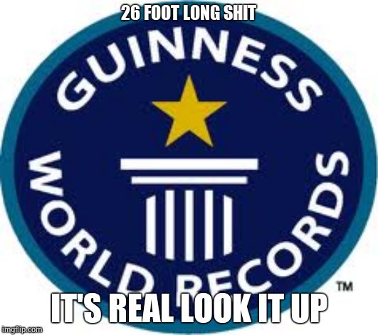 Guinness World Record Meme | 26 FOOT LONG SHIT; IT'S REAL LOOK IT UP | image tagged in memes,guinness world record | made w/ Imgflip meme maker