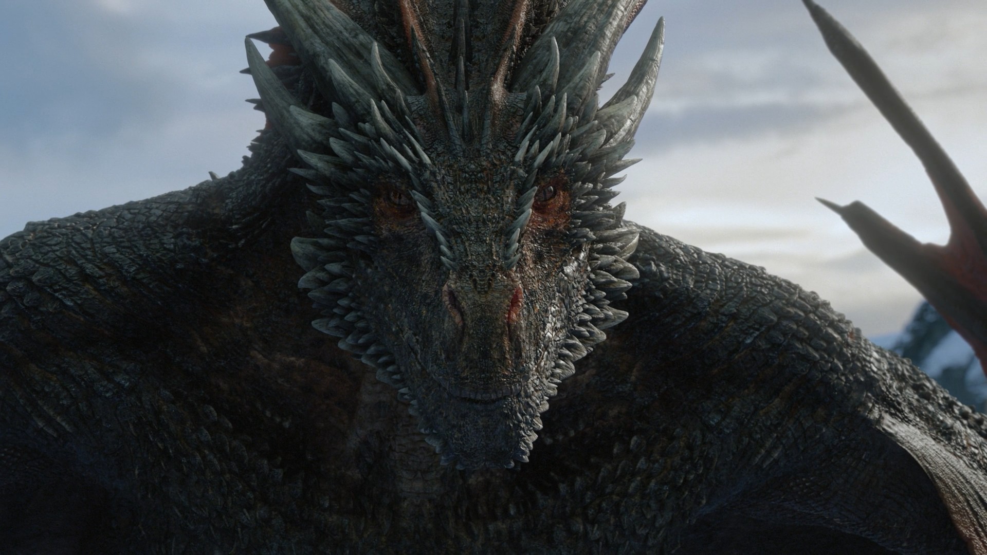 High Quality got-dragon Blank Meme Template