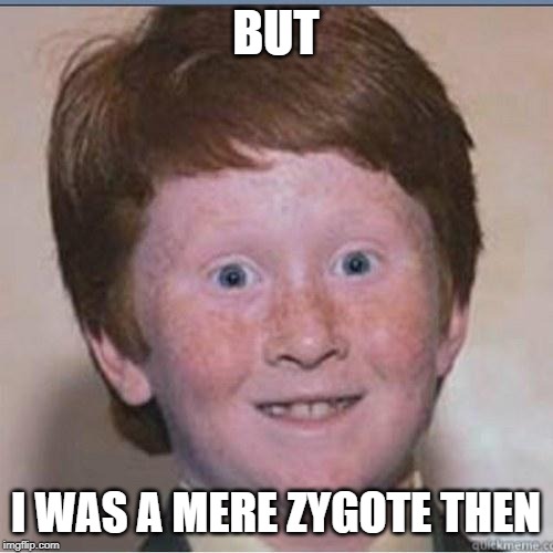 Overconfident Ginger | BUT I WAS A MERE ZYGOTE THEN | image tagged in overconfident ginger | made w/ Imgflip meme maker