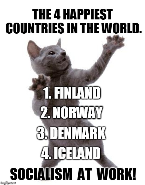 They seem to like it. | THE 4 HAPPIEST COUNTRIES IN THE WORLD. 1. FINLAND; 2. NORWAY; 3. DENMARK; 4. ICELAND; SOCIALISM  AT  WORK! | image tagged in happy dance cat,happy,socialism,finland,norway,denmark | made w/ Imgflip meme maker