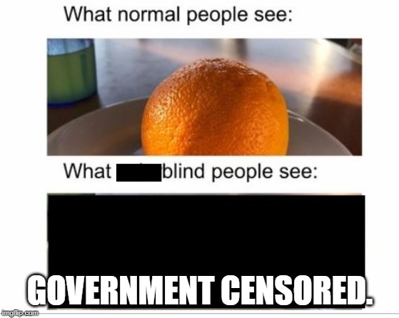 Government Censored! | GOVERNMENT CENSORED. | image tagged in blackout,censored,blind see,lol,fun | made w/ Imgflip meme maker
