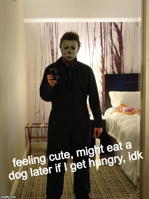 Michael feeling cute | feeling cute, might eat a dog later if I get hungry, idk | image tagged in feeling cute,halloween,michael myers,memes | made w/ Imgflip meme maker