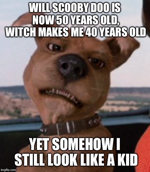 Scrappy Doo | WILL SCOOBY DOO IS NOW 50 YEARS OLD, WITCH MAKES ME 40 YEARS OLD; YET SOMEHOW I STILL LOOK LIKE A KID | image tagged in scrappy doo | made w/ Imgflip meme maker