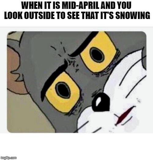 Disturbed Tom | WHEN IT IS MID-APRIL AND YOU LOOK OUTSIDE TO SEE THAT IT'S SNOWING | image tagged in disturbed tom | made w/ Imgflip meme maker