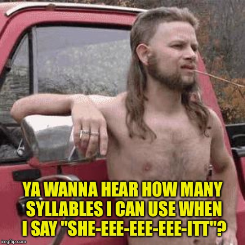 almost redneck | YA WANNA HEAR HOW MANY SYLLABLES I CAN USE WHEN I SAY "SHE-EEE-EEE-EEE-ITT"? | image tagged in almost redneck | made w/ Imgflip meme maker