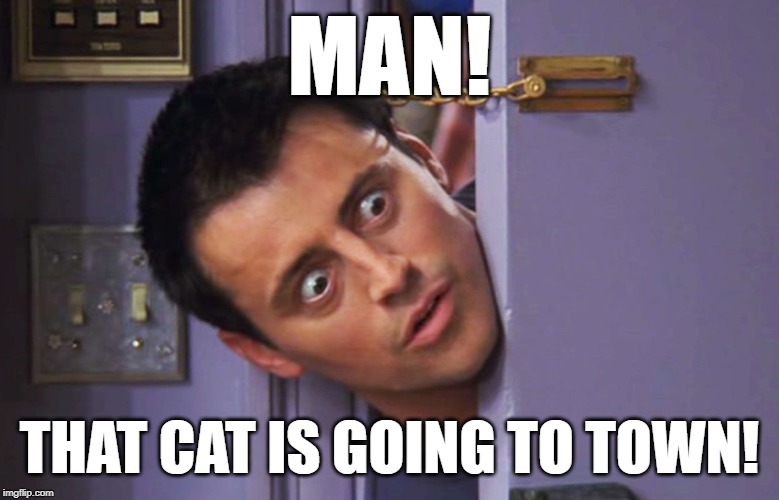 joey door | MAN! THAT CAT IS GOING TO TOWN! | image tagged in joey door | made w/ Imgflip meme maker