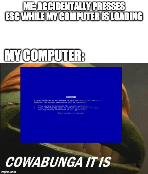 windows be like | ME: ACCIDENTALLY PRESSES ESC WHILE MY COMPUTER IS LOADING; MY COMPUTER: | image tagged in cowabunga it is,windows 95,microsoft,blue screen of death,memes,tmnt | made w/ Imgflip meme maker