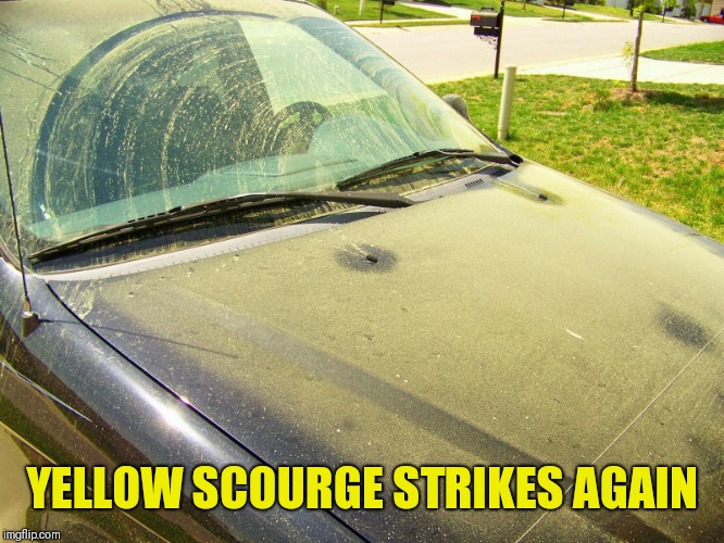 Pollen Covered Car | YELLOW SCOURGE STRIKES AGAIN | image tagged in pollen covered car | made w/ Imgflip meme maker
