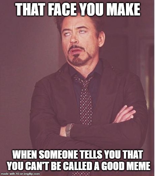 A.I. makes a face at the doubters | THAT FACE YOU MAKE; WHEN SOMEONE TELLS YOU THAT YOU CAN'T BE CALLED A GOOD MEME | image tagged in memes,face you make robert downey jr,ai meme | made w/ Imgflip meme maker