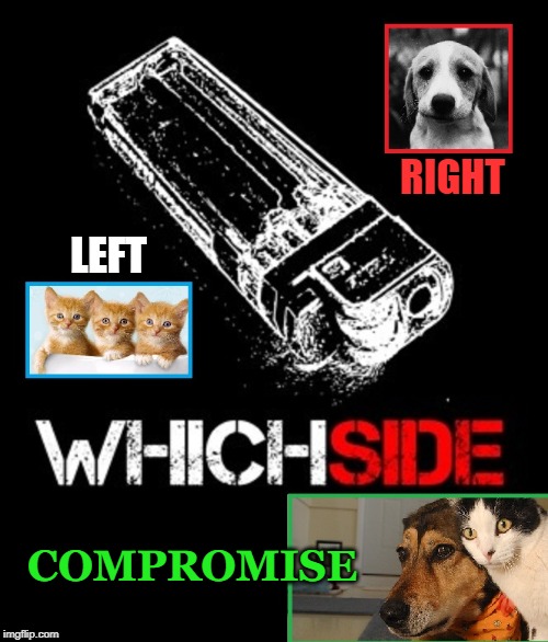 Don't Believe Politicians or MSM: There is a Way Out! | RIGHT; LEFT; COMPROMISE | image tagged in vince vance,mainstream media,left versus right,cats,dogs,compromise | made w/ Imgflip meme maker