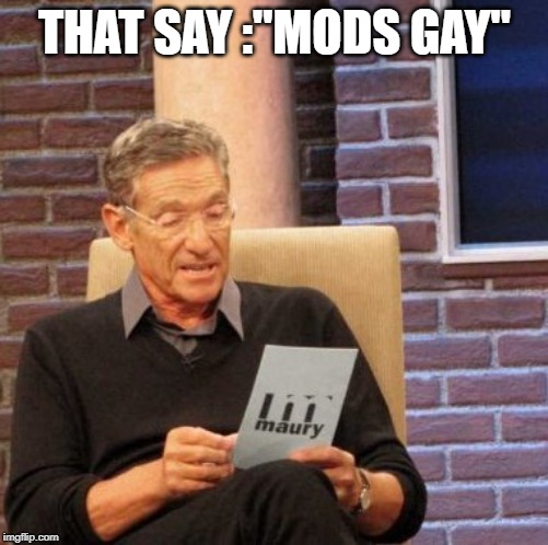 Maury Lie Detector Meme | THAT SAY :"MODS GAY" | image tagged in memes,maury lie detector | made w/ Imgflip meme maker