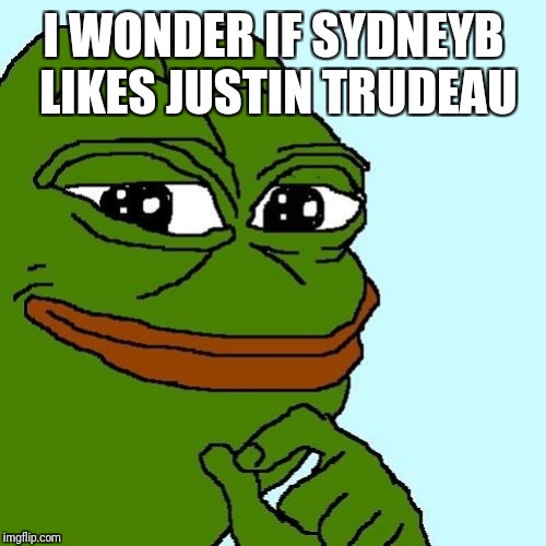 Smug Pepe | I WONDER IF SYDNEYB LIKES JUSTIN TRUDEAU | image tagged in smug pepe | made w/ Imgflip meme maker