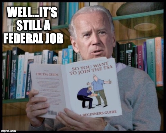 Back Up Plan For 2020 | WELL…IT’S STILL A FEDERAL JOB | image tagged in joe biden,election 2020,tsa,presidential race | made w/ Imgflip meme maker