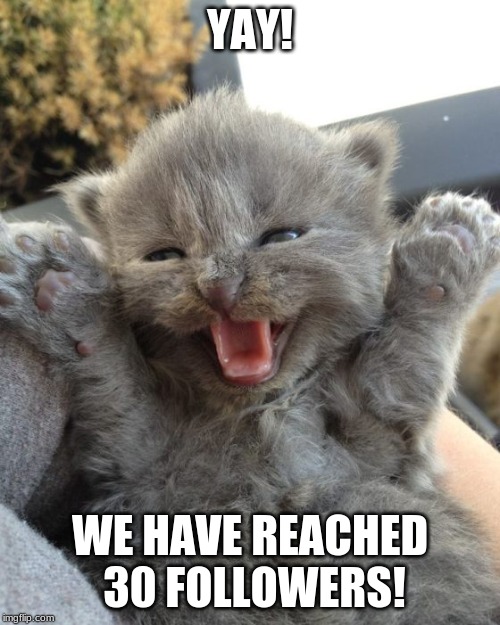 Another Milestone Reached!! :D | YAY! WE HAVE REACHED 30 FOLLOWERS! | image tagged in yay kitty,memes,anime stream,followers | made w/ Imgflip meme maker