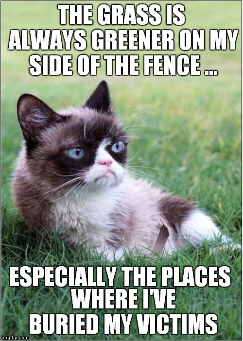 Grumpys Lawn Maintenance | THE GRASS IS ALWAYS GREENER ON MY SIDE OF THE FENCE …; ESPECIALLY THE PLACES; WHERE I'VE BURIED MY VICTIMS | image tagged in cats,grumpy cats | made w/ Imgflip meme maker