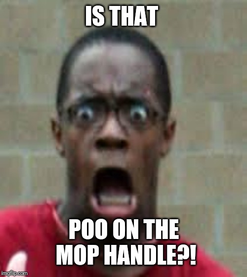 Scared Black Guy | IS THAT POO ON THE MOP HANDLE?! | image tagged in scared black guy | made w/ Imgflip meme maker