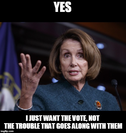 Good old Nancy Pelosi | YES I JUST WANT THE VOTE, NOT THE TROUBLE THAT GOES ALONG WITH THEM | image tagged in good old nancy pelosi | made w/ Imgflip meme maker